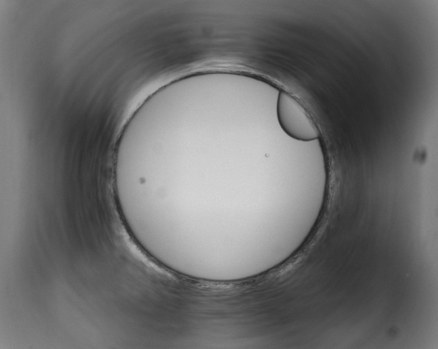 X0000115651382200911241724