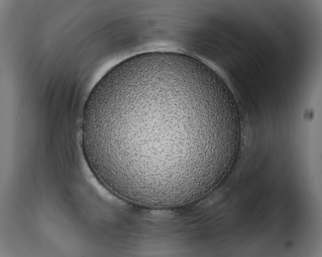 X0000115651383200911241724