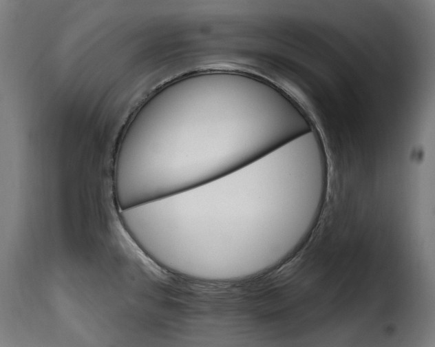 X0000115651384200911241724