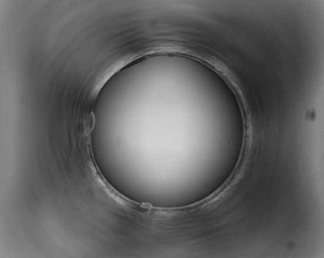 X0000115651385200911241724