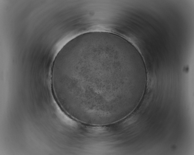 X0000115651387200911241724