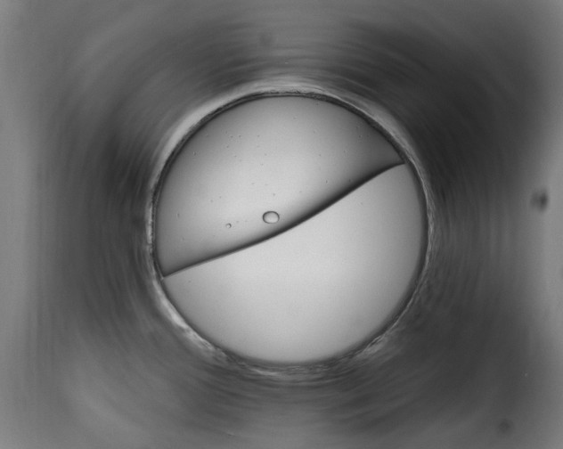 X0000115651388200911241724