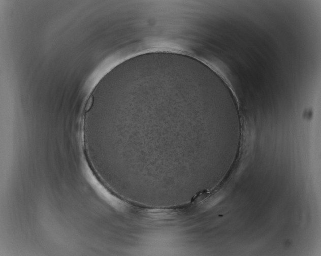 X0000115651391200911241724