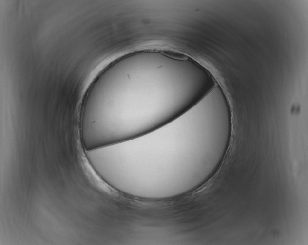 X0000115651392200911241724