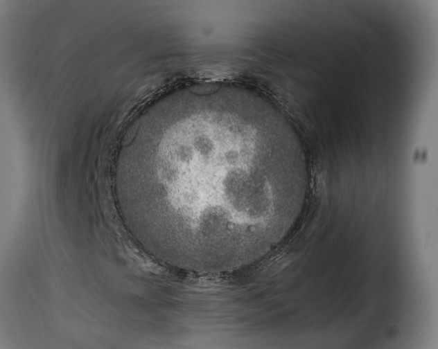 X0000115651393200911241723