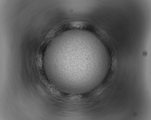 X0000115651394200911241723