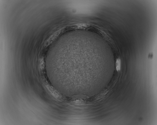 X0000115651395200911241724