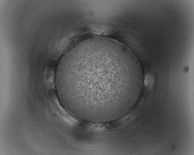 X0000115651396200911241724