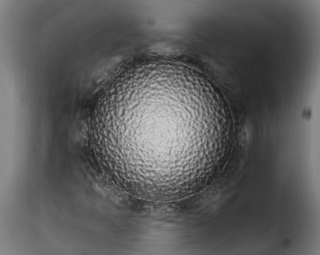 X0000115651397200911241724