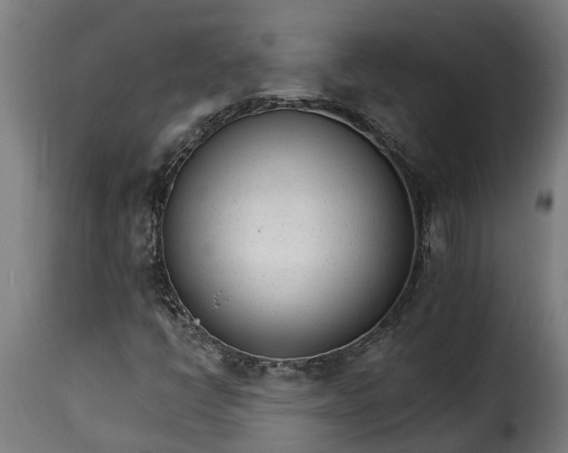 X0000115651398200911241724