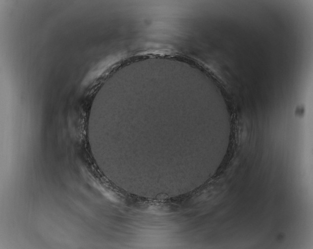 X0000115651399200911241724