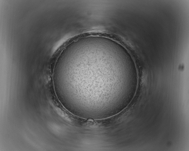 X0000115651400200911241724