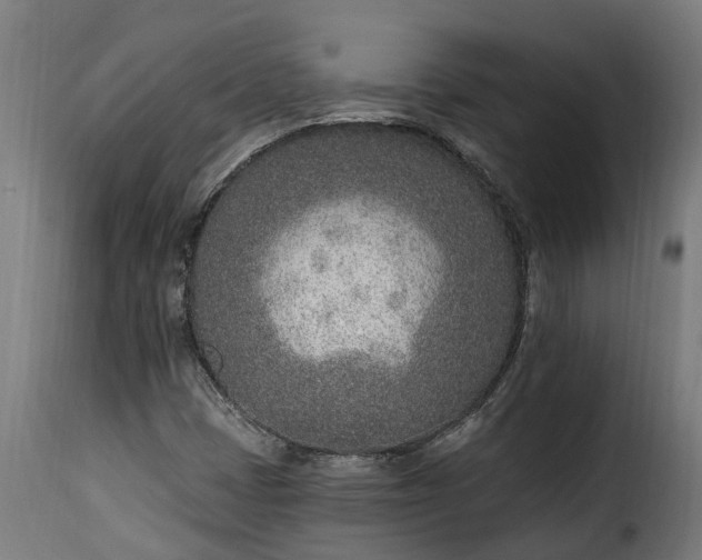 X0000115651401200911241724