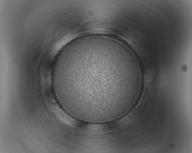 X0000115651402200911241724