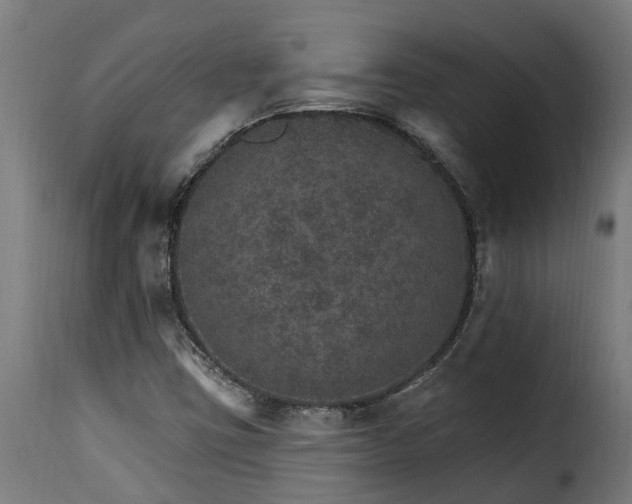 X0000115651403200911241724