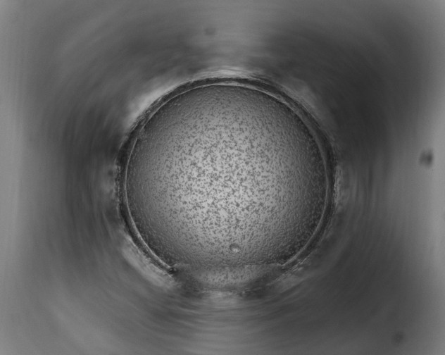 X0000115651404200911241724