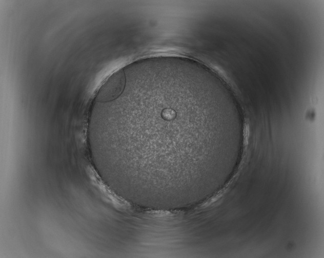 X0000115651405200911241724