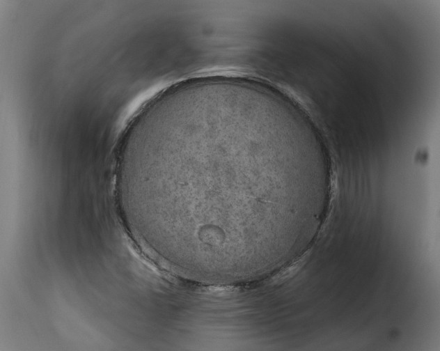 X0000115651406200911241724