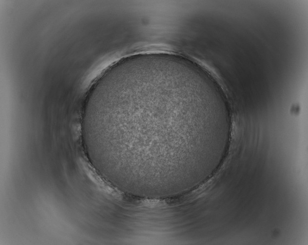 X0000115651407200911241724