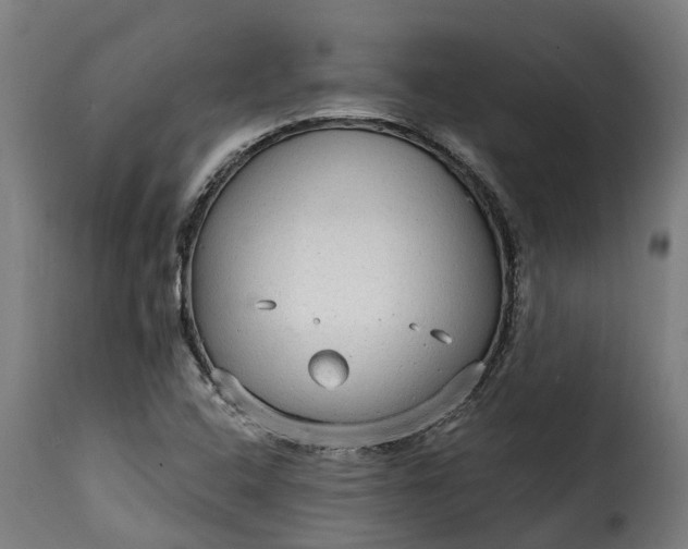 X0000115651408200911241724