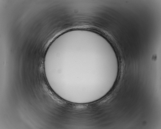 X0000115651409200911241724