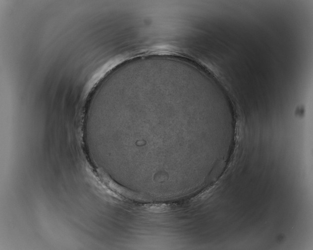 X0000115651410200911241724