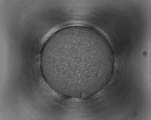 X0000115651411200911241724