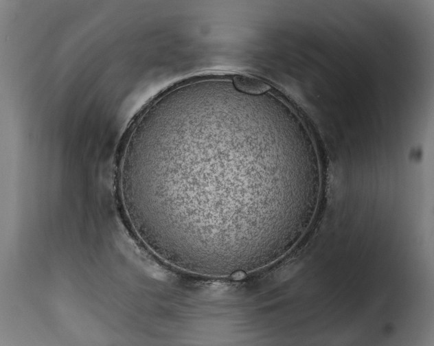 X0000115651412200911241724