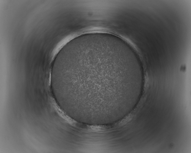 X0000115651413200911241724