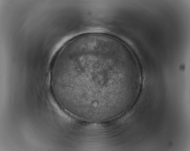 X0000115651414200911241724