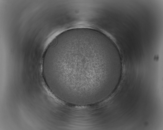 X0000115651415200911241724