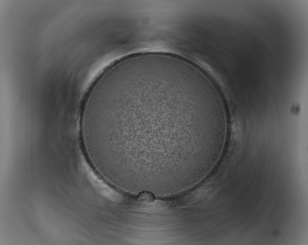 X0000115651416200911241724