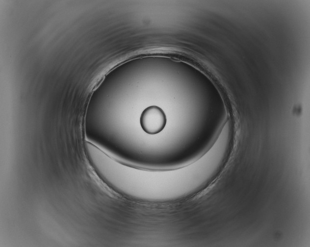 X0000115651417200911241724