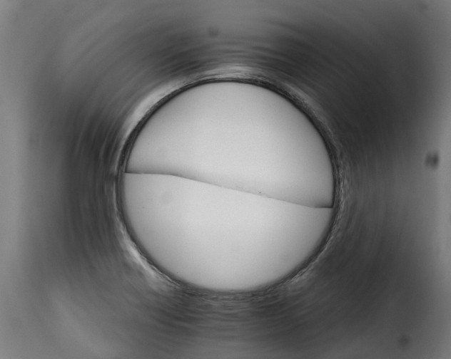 X0000115651418200911241724