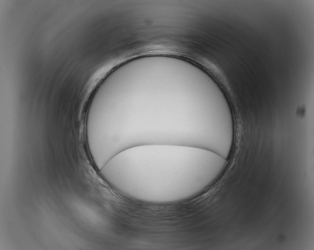 X0000115651419200911241724