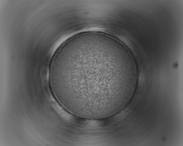 X0000115651420200911241724