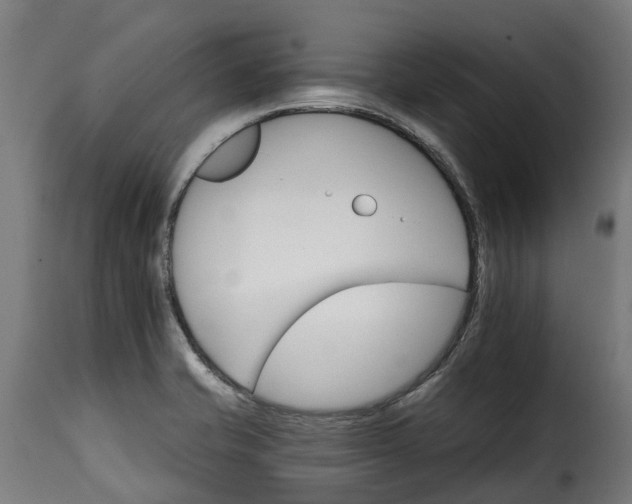 X0000115651421200911241724