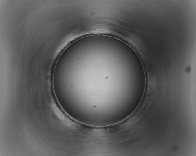 X0000115651422200911241724