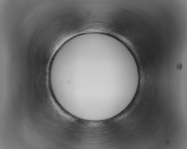 X0000115651423200911241724