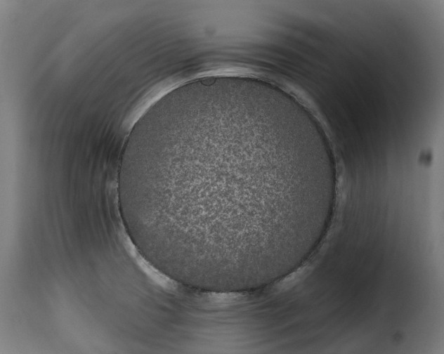 X0000115651425200911241724