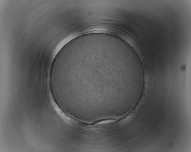 X0000115651426200911241724