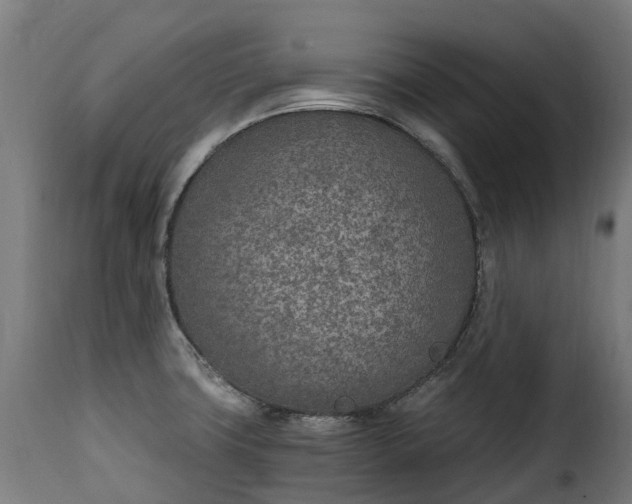 X0000115651427200911241724