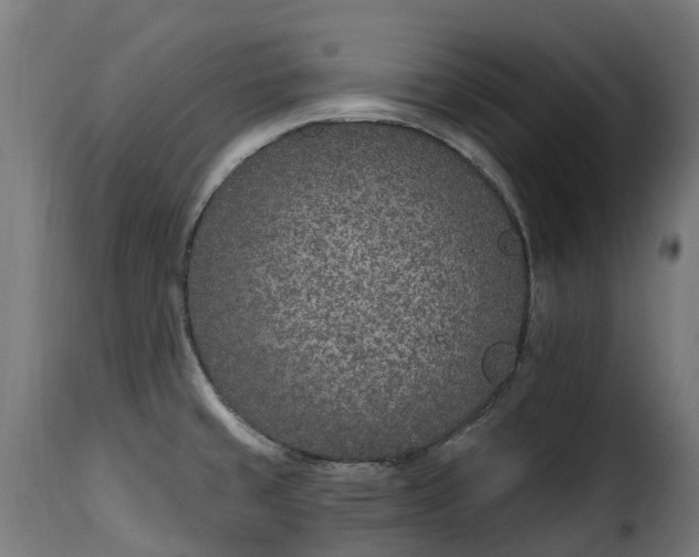 X0000115651429200911241724