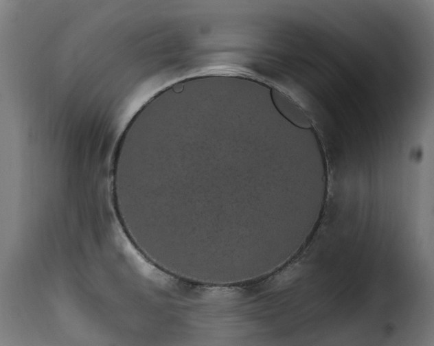 X0000115651430200911241724