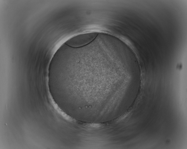 X0000115651431200911241724