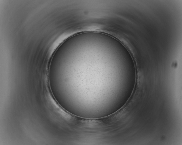 X0000115651432200911241724