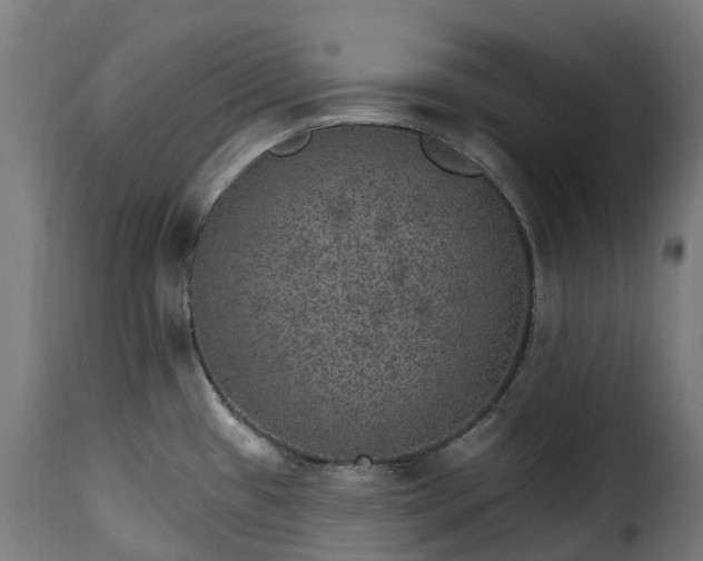 X0000115651433200911241724