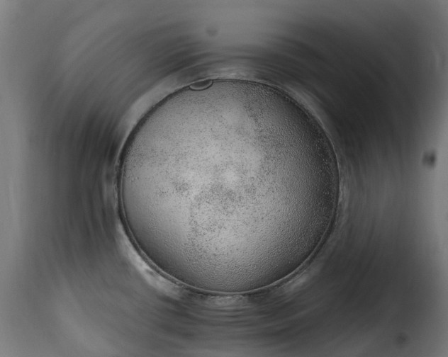 X0000115651434200911241724