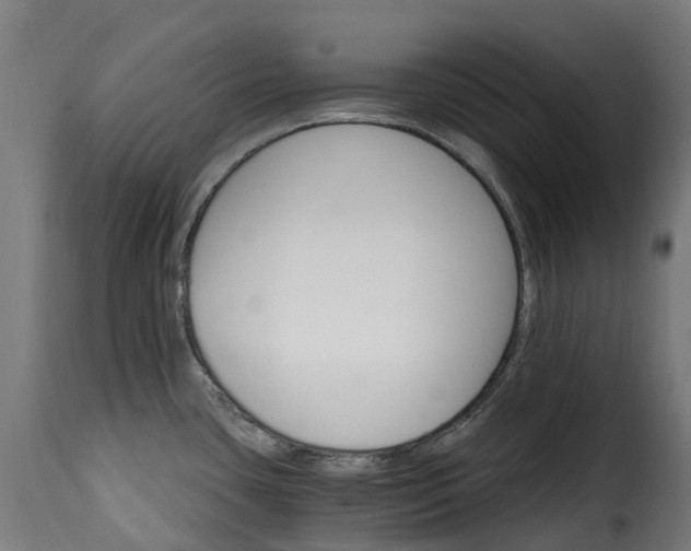 X0000115651435200911241724