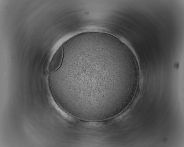 X0000115651437200911241724